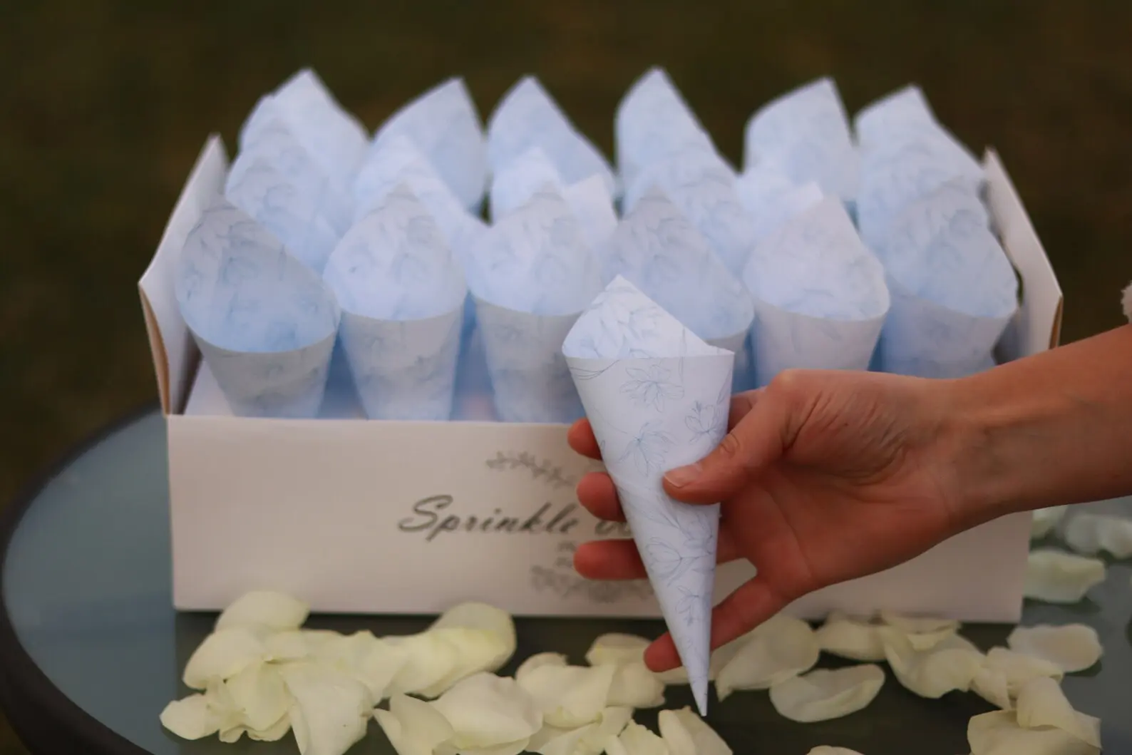 confetti cones and holder